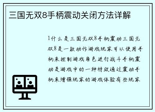 三国无双8手柄震动关闭方法详解